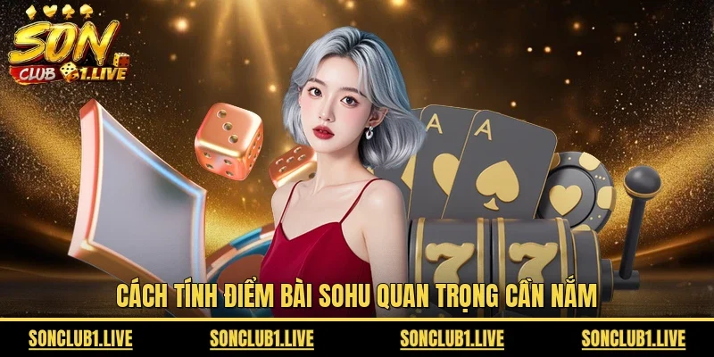 Cách tính điểm bài Sohu quan trọng cần nắm 