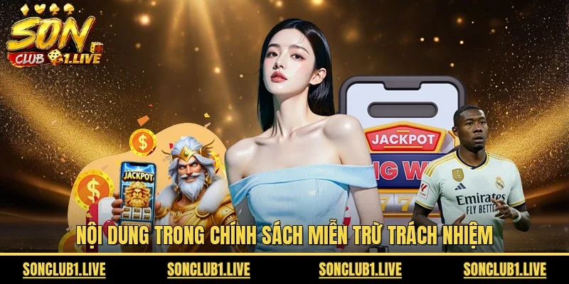 Nội dung trong chính sách miễn trừ trách nhiệm